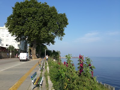 Photos of Akcakoca Municipality