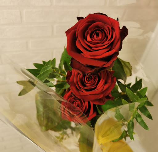 An'Fleurs - Visual