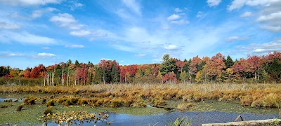 Keeney Swamp State Forest