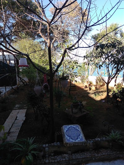 Photos of Caf&eacute; La Terrasse Chenoua