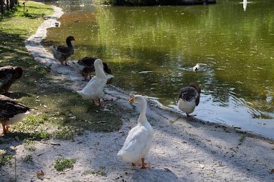 Naples Zoo