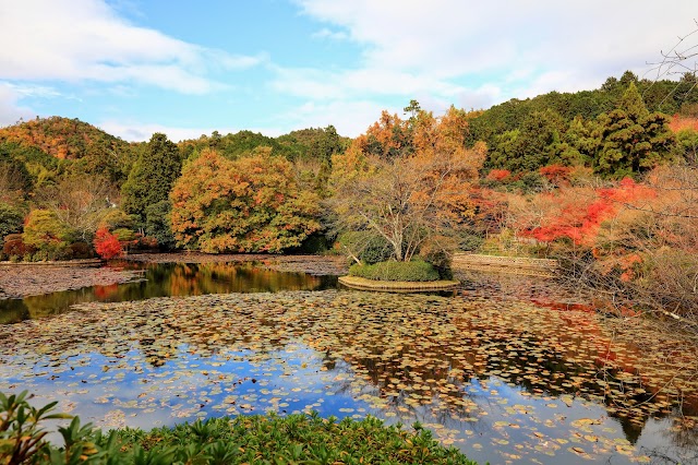 Kyōyō Pond