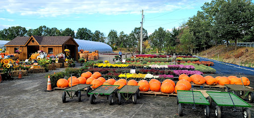 Ron's Gardens Farm Market Gallery - United States