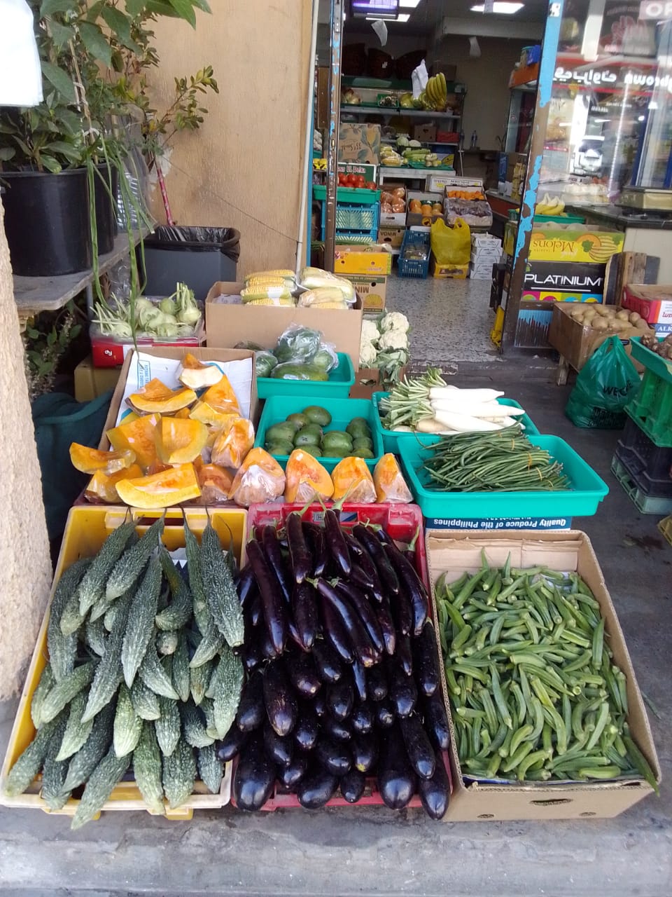 Star Fruit Trading - صورة 4