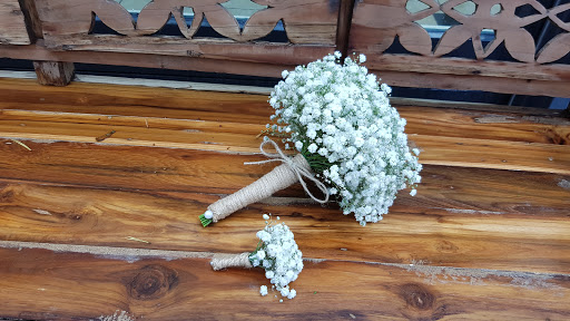 Creatief Mandy - Visual