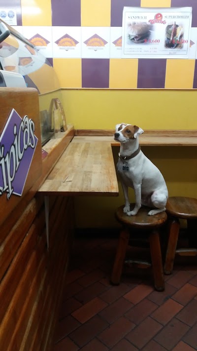 Photos of Chelos's