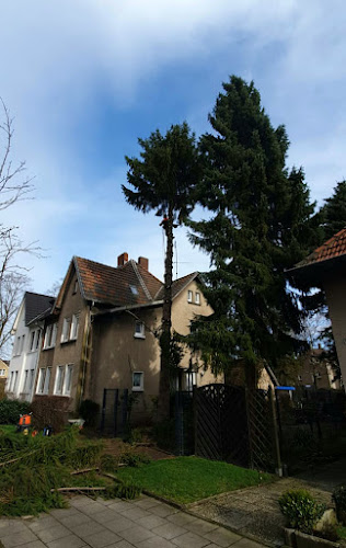 Naturpflege Baum & Strauch