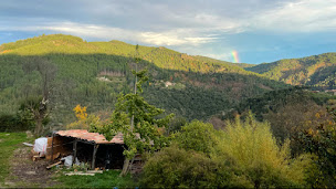 Photo n°1 de Saveurs du Castanet à Le Collet-de-Dèze (Ferme bio)