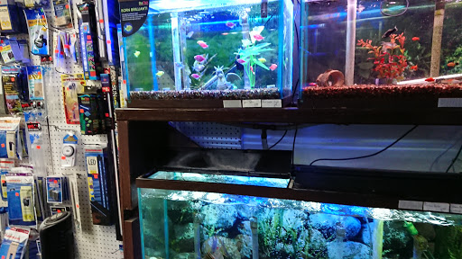 Aquatic Pets - Visual
