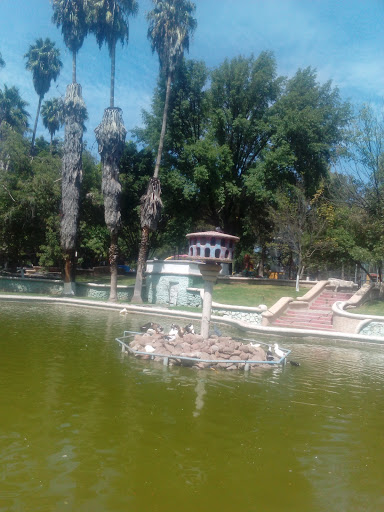 Hogar De Aves - Visual