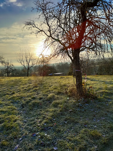 Aussichtspunkt zum Flughafen Stuttgart - Thumbnail