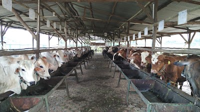 Photos of Sumber Hijau Mandiri