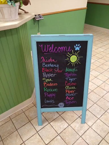 30th Street Animal Hospital - Thumbnail