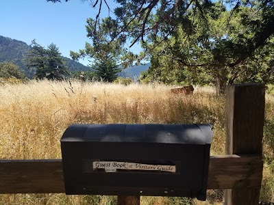 Petrolia Pioneer Cemetery