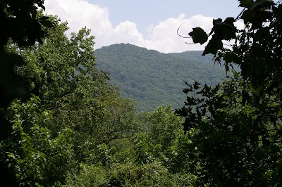 Photos of Scenic RV Resort