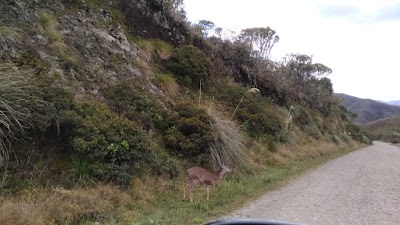 Photos of Sendero Al Mirador