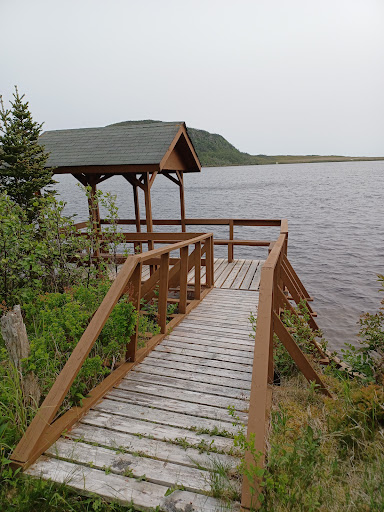 Mile Pond Boardwalk Trail - Thumbnail