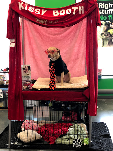 Pet Supplies Plus Central Islip - Thumbnail