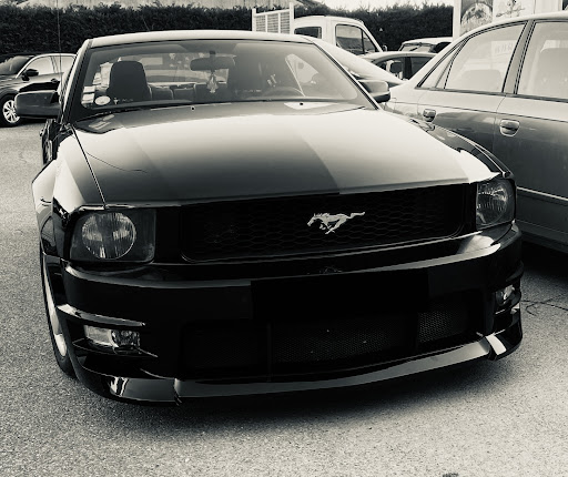 K.n.s 38
