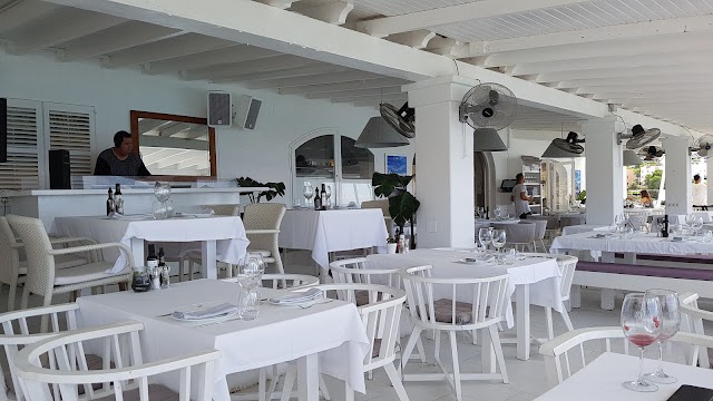 Cotton Beach Club Ibiza