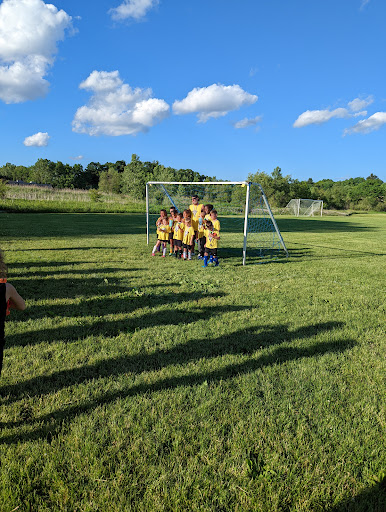 Logan Field - Visual