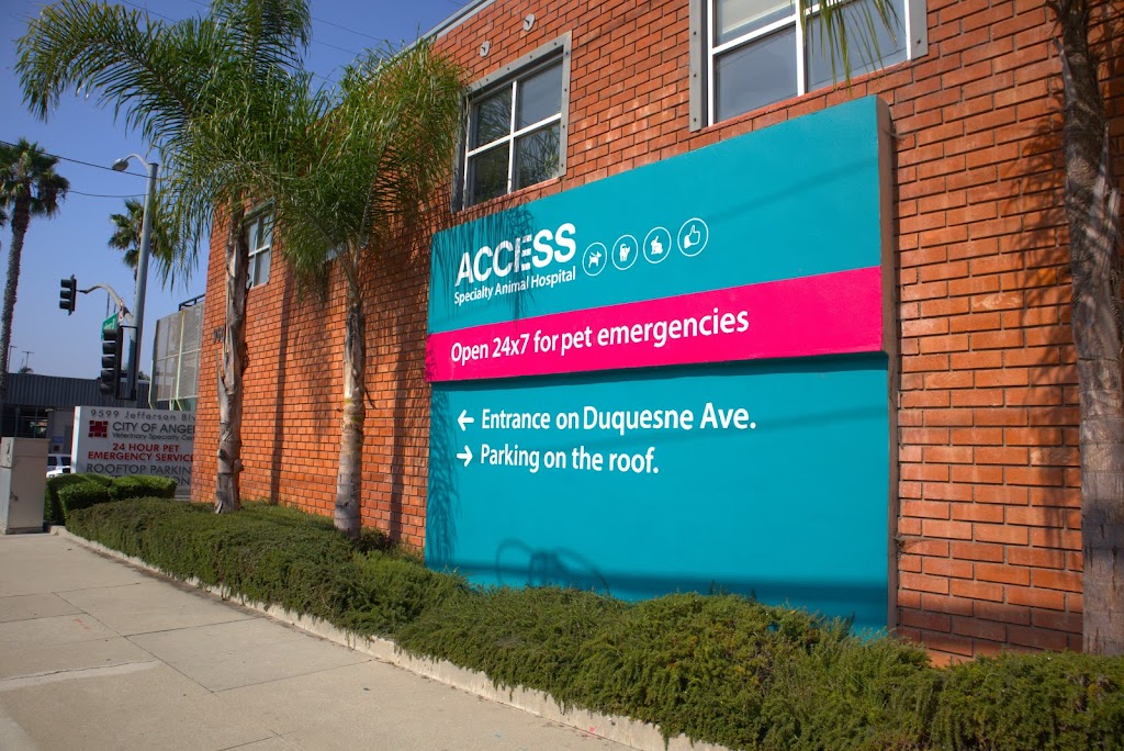 Access Specialty Animal Hospitals Los Angeles