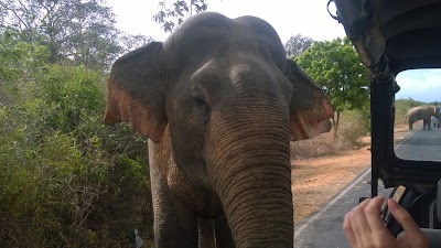 Photos of Sanhida Travels