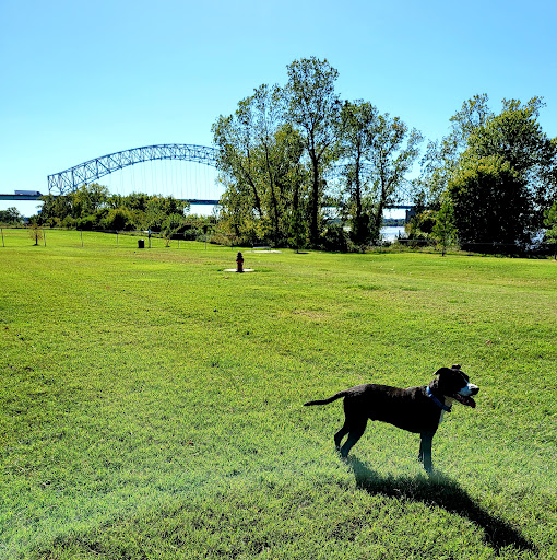 Mud Island Dog Park - Thumbnail