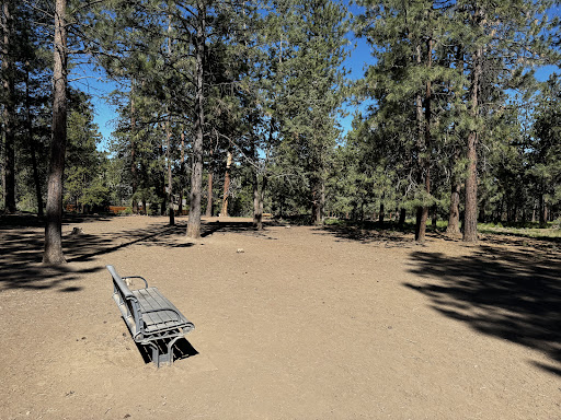 Overturf Park - Visual