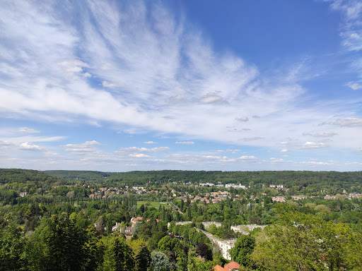 Forêt Communale de Gif-sur-Yvette