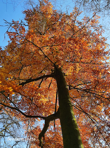 Schlossberg Heiligkreuz Nature Reserve
