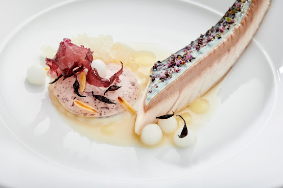 Hotel Hohenhaus by null