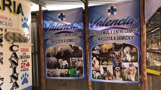 Clínica veterinaria y estética canina Valencia - Thumbnail