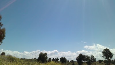 park