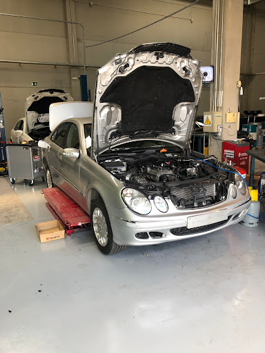 Dbnz Desguace solo Mercedes Benz