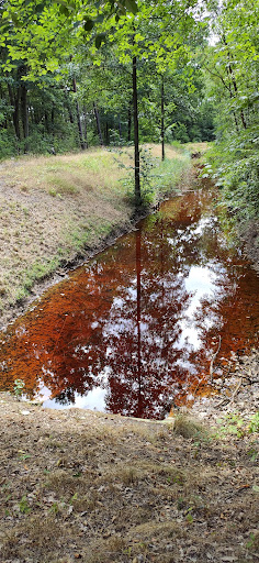 Naturlandschaft Grünewalder Lauch - Thumbnail