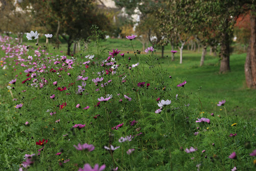 Arboretum de Coudun/Giraumont - Thumbnail