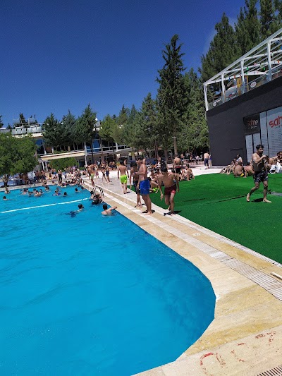 Classic Poolside