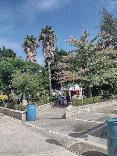 CENTRO DE ACOPIO SEGALMEX TEZOATLÁN - Thumbnail