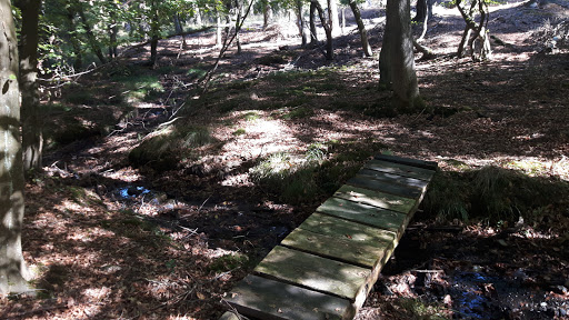 Parkplatz Langerwehe Sportplatz (Hürtgenwald / Westwall) - Thumbnail