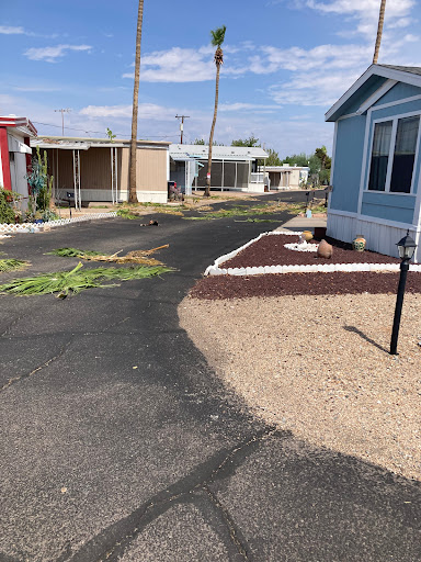 Roots Management Arizona Office