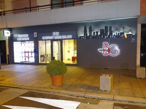 Bgi - Visual
