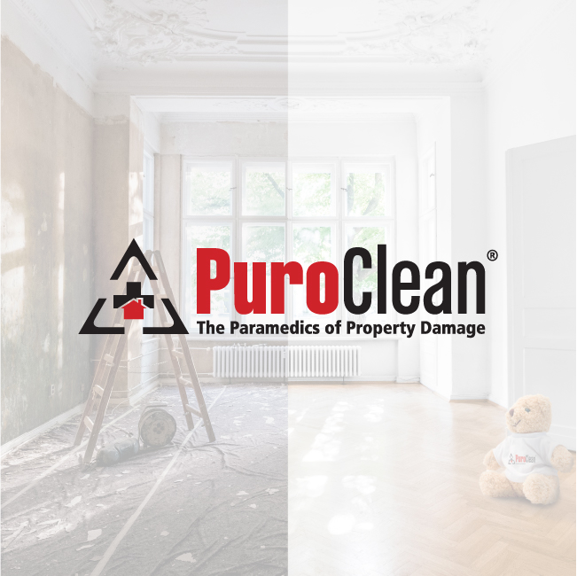 PuroClean of South Chesapeake photo