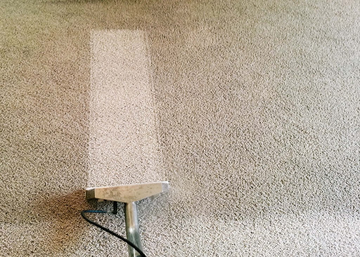MST Carpet Cleaning Logo