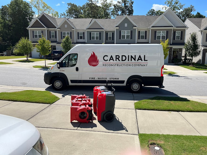 Cardinal Reconstruction photo