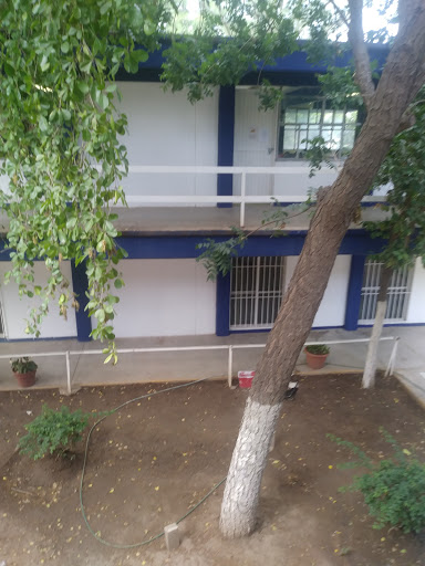 Cetis 108 - Visual