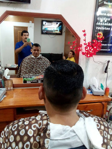 Peluqueria Tingo