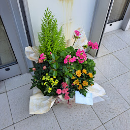 Photo n°7 de FLORALIA à Marolles-en-Hurepoix (Fleuriste)