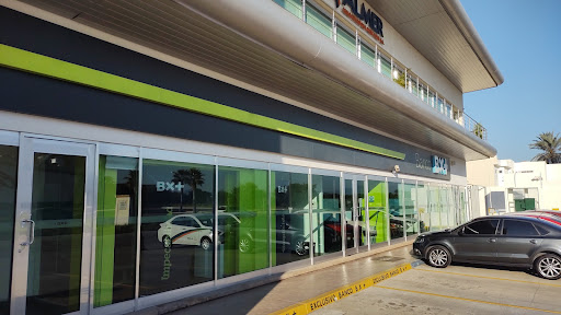 BX+ Culiacan