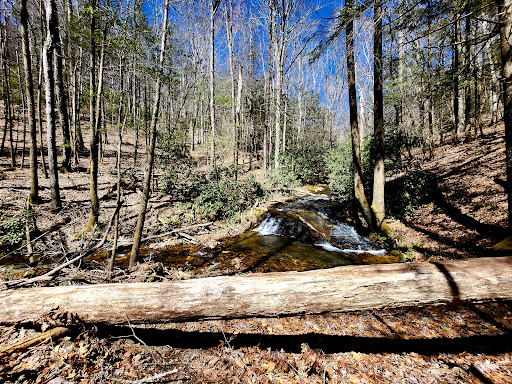 Bearden Falls - Visual